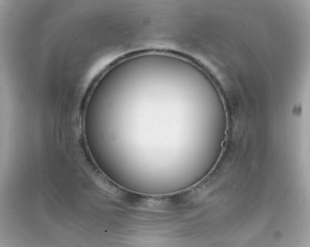 X0000091301271200708172201