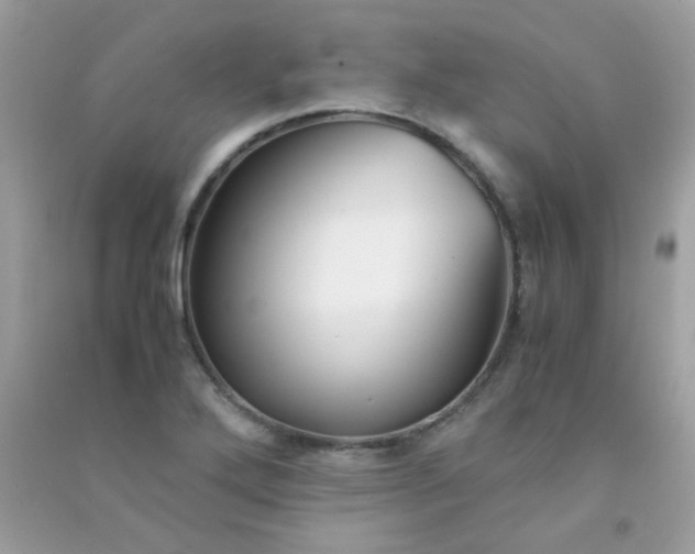 X0000091301272200708172201