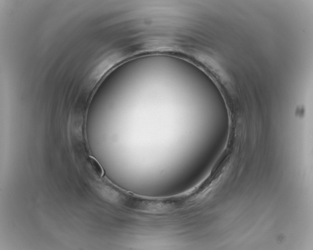 X0000091301273200708172201