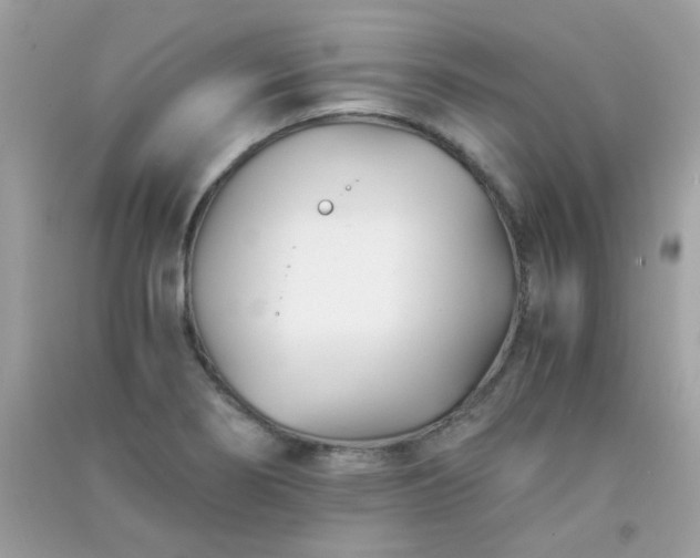 X0000091301274200708172201