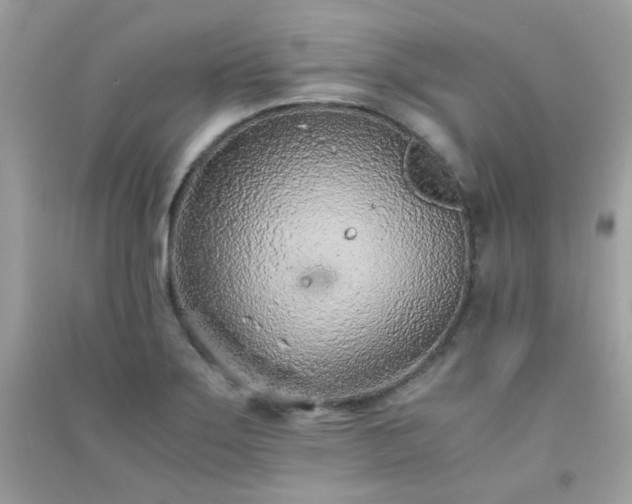X0000091301275200708172201