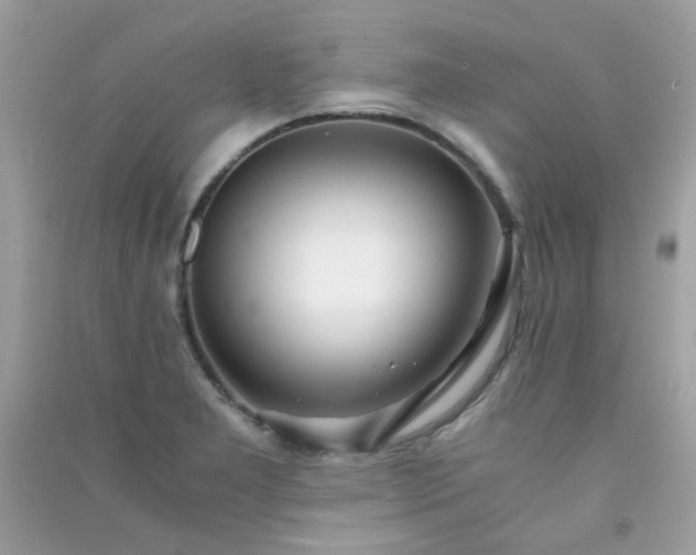 X0000091301277200708172201