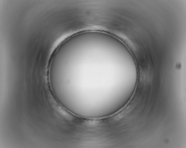 X0000091301278200708172201