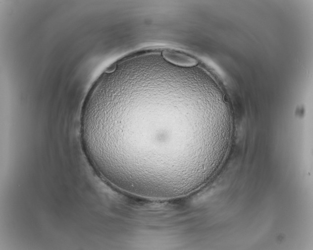 X0000091301279200708172201