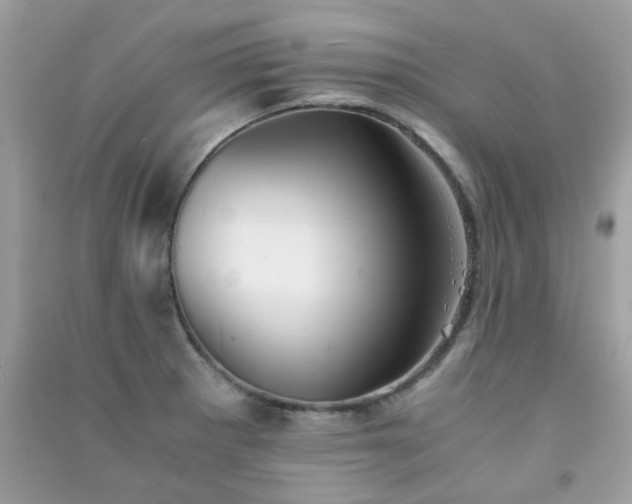 X0000091301281200708172201