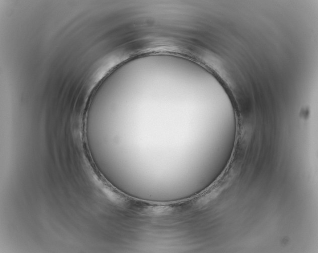 X0000091301282200708172201