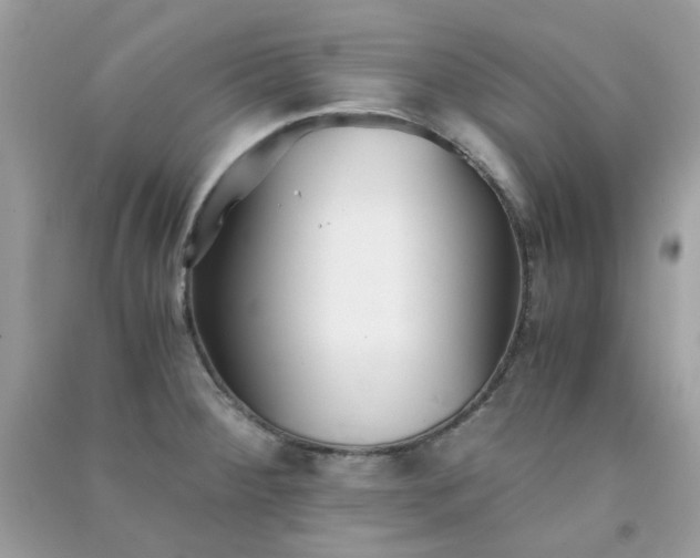 X0000091301284200708172201