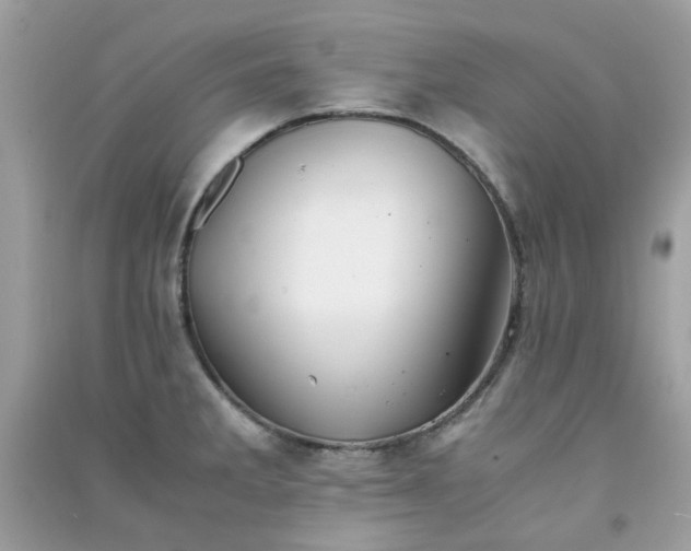 X0000091301285200708172201