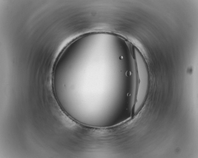 X0000091301288200708172201