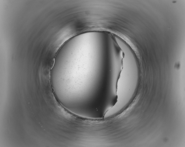 X0000091301289200708172201