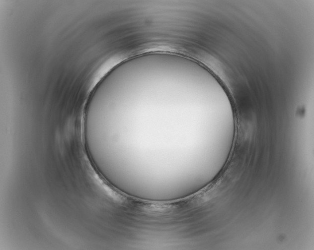 X0000091301290200708172201