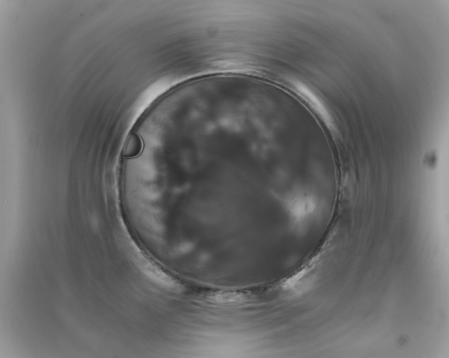 X0000091301291200708172201