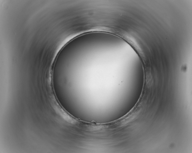 X0000091301292200708172201