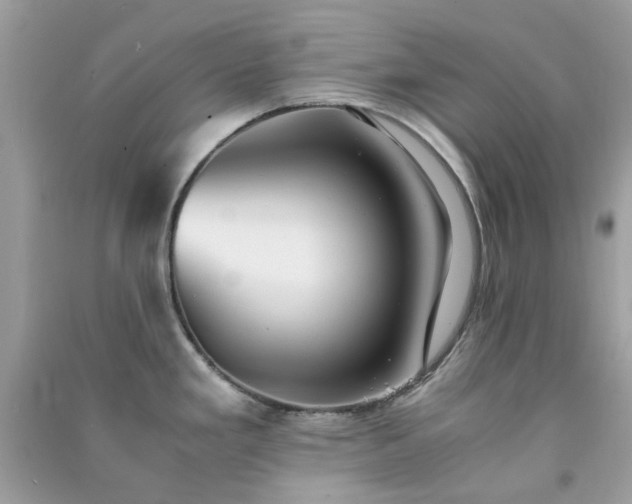 X0000091301293200708172201