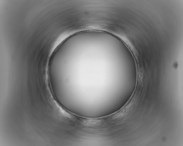 X0000091301294200708172201