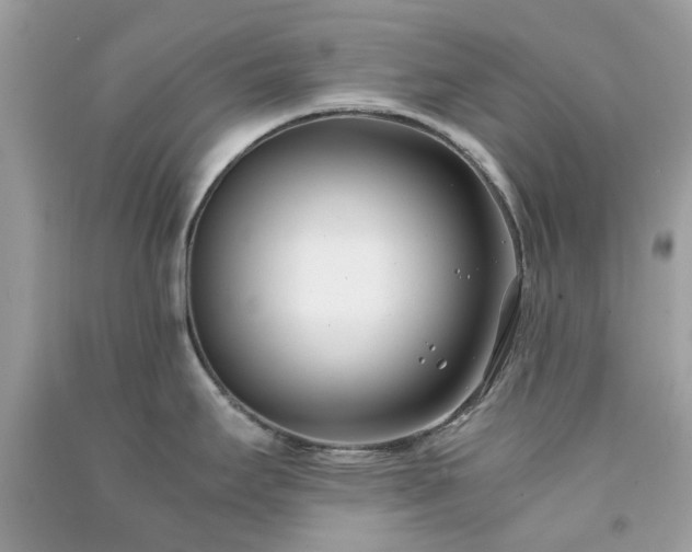 X0000091301295200708172201