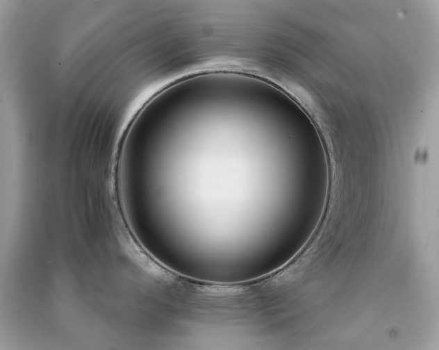 X0000091301296200708172201