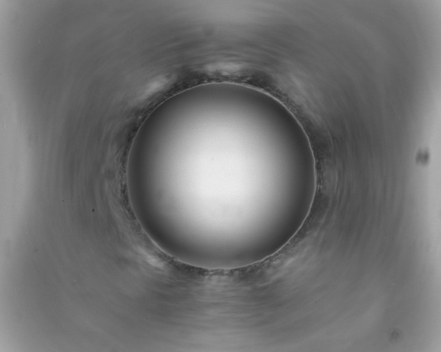 X0000091301297200708172200