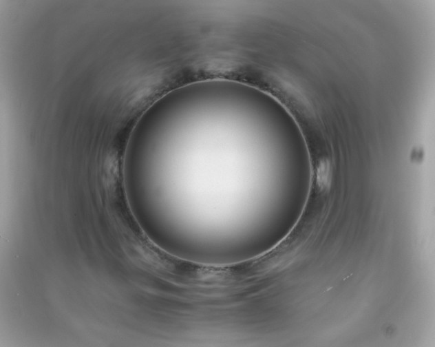 X0000091301299200708172200