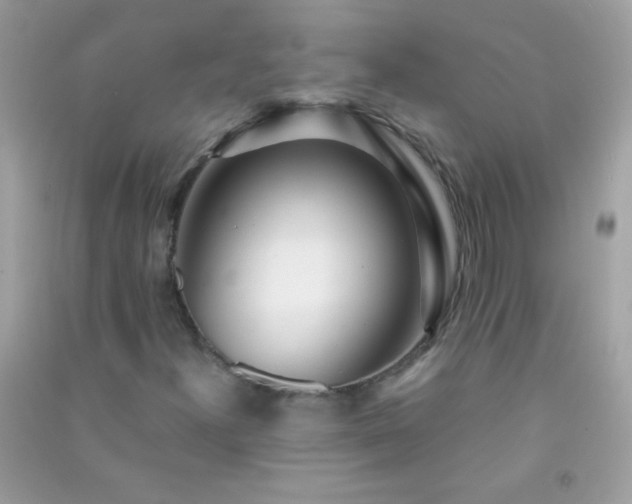 X0000091301300200708172200