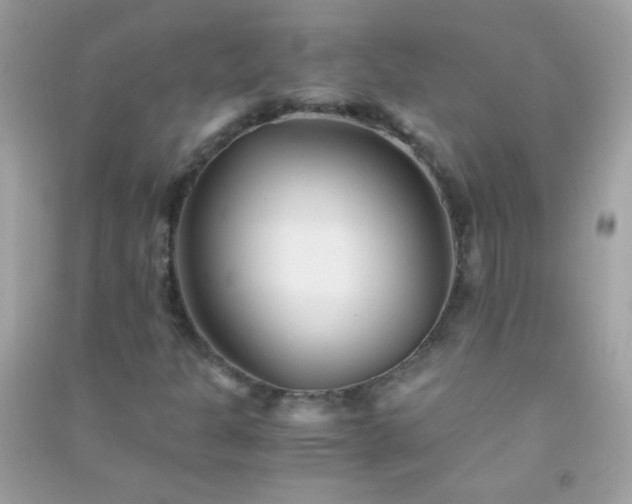 X0000091301301200708172200