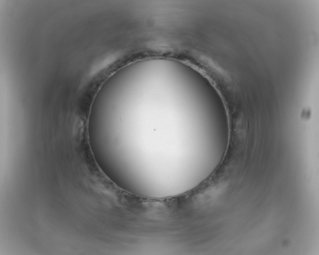 X0000091301302200708172200