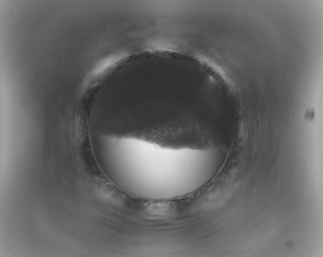 X0000091301303200708172200