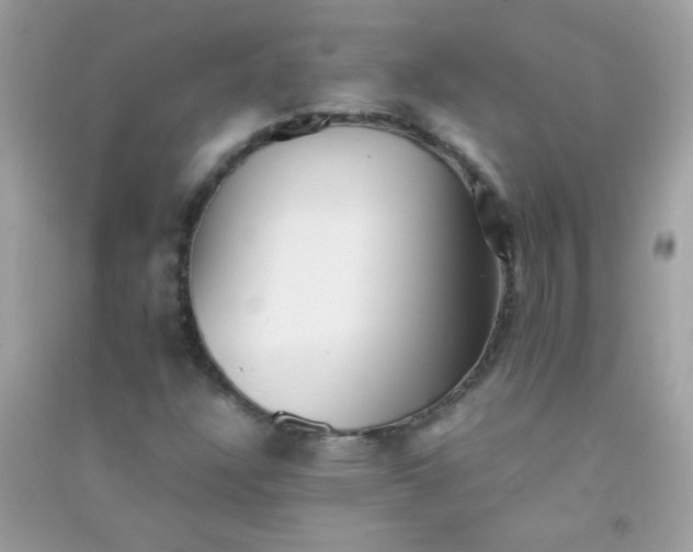 X0000091301304200708172200