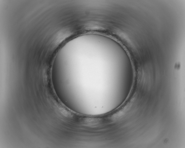 X0000091301305200708172200