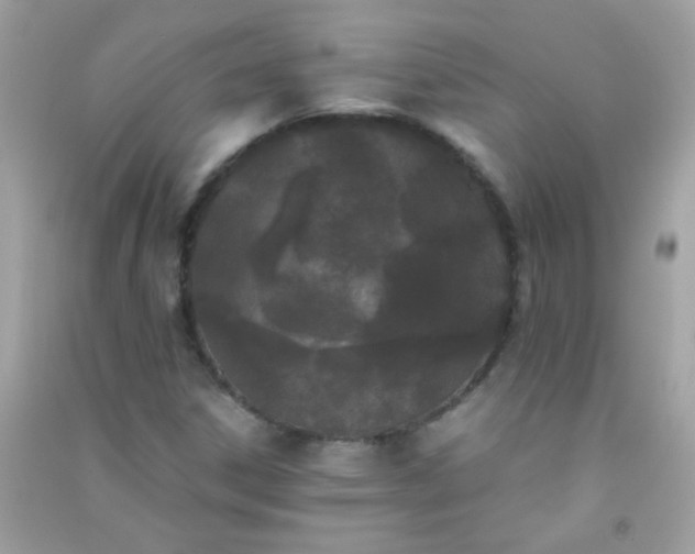 X0000091301306200708172200