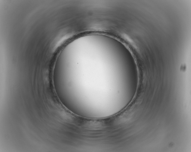 X0000091301307200708172200