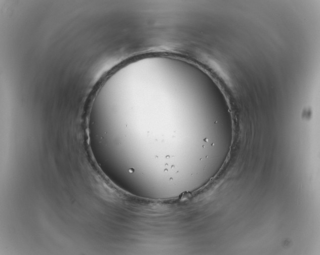 X0000091301308200708172200