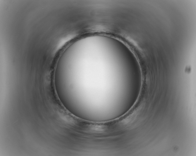 X0000091301309200708172200