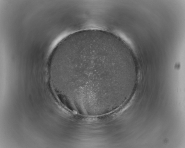 X0000091301310200708172200