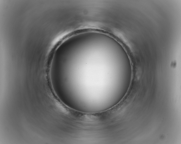 X0000091301312200708172200