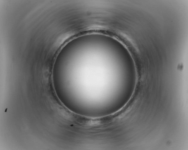 X0000091301313200708172201