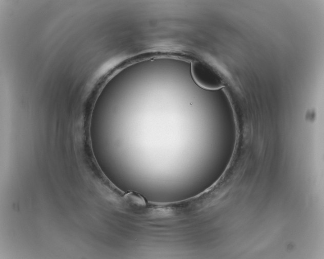 X0000091301315200708172201