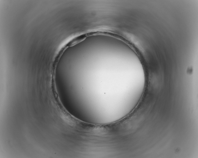 X0000091301316200708172201