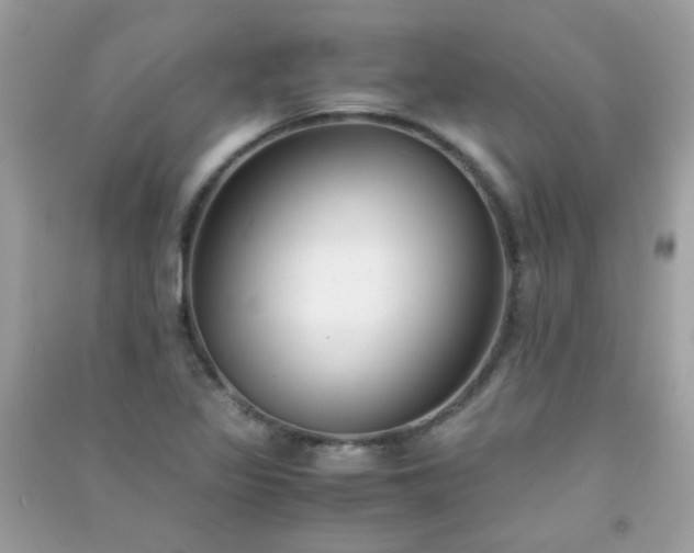 X0000091301317200708172201