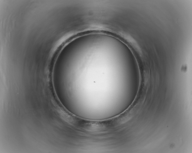 X0000091301318200708172201