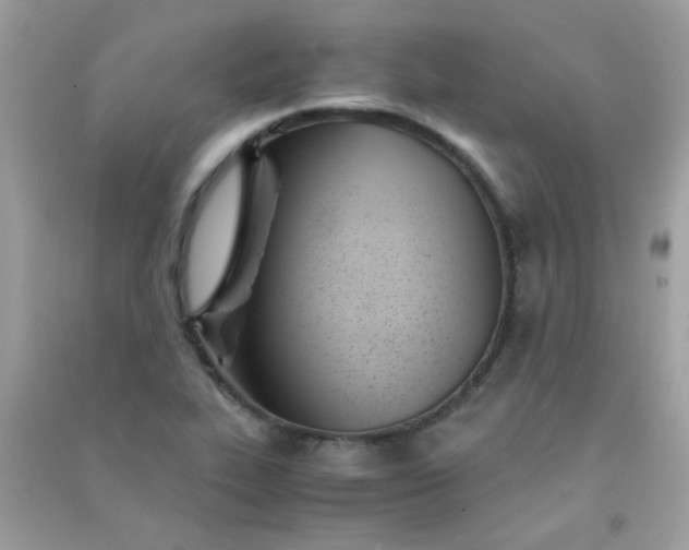 X0000091301319200708172201