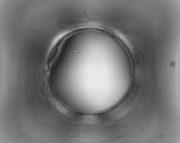 X0000091301320200708172201