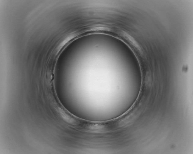 X0000091301321200708172201