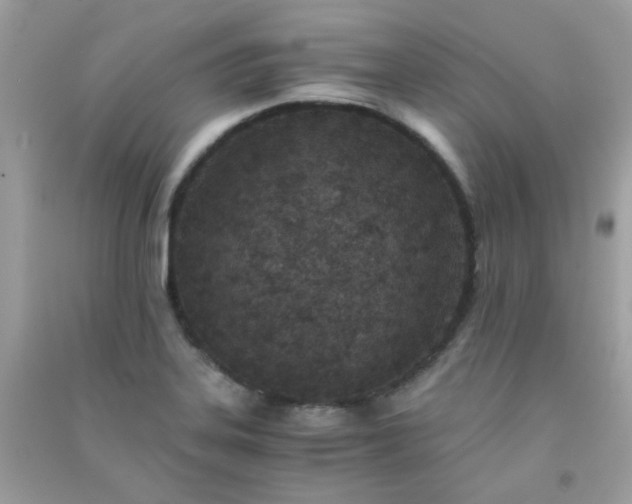 X0000091301323200708172201