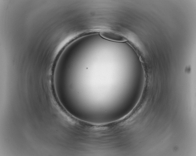 X0000091301325200708172201