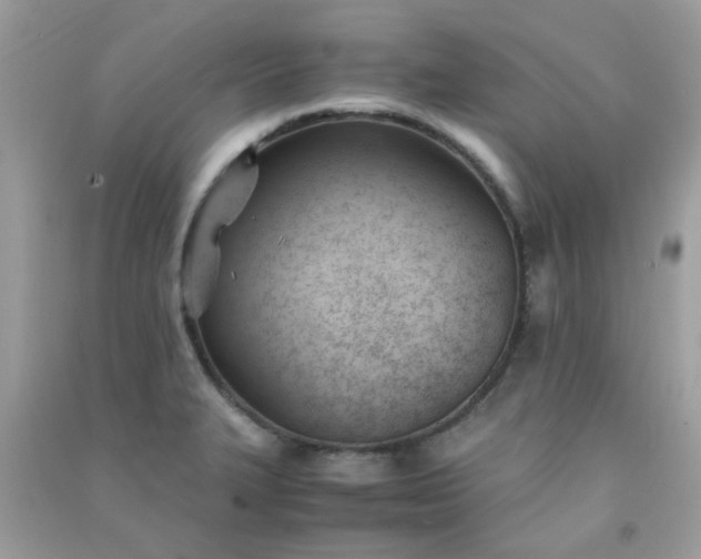 X0000091301327200708172201