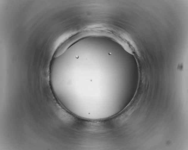 X0000091301328200708172201