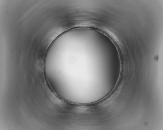 X0000091301329200708172201