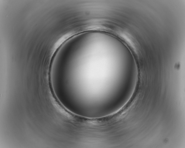 X0000091301330200708172201