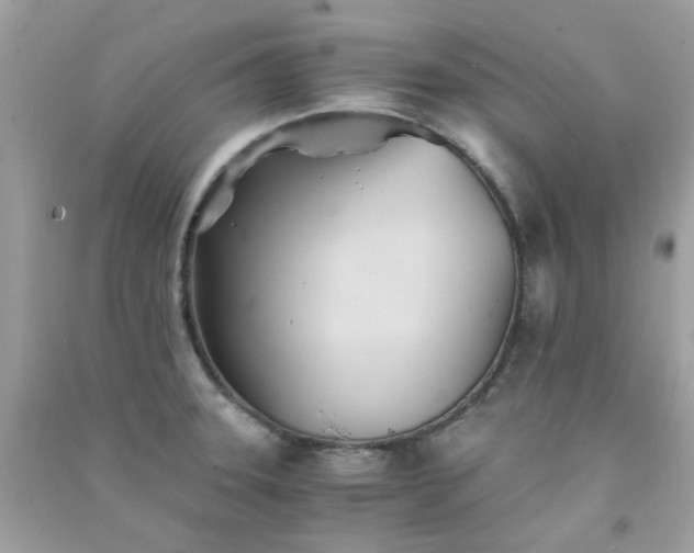 X0000091301331200708172201